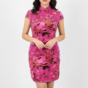 Velvet Unconventional Lace Pin Up Asian Dress Whimsigoth Mandarin Rockabilly